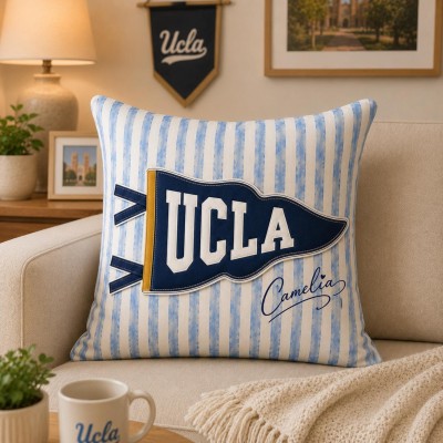 Personalized University Campus Pillow Custom College School Mascot Pillow Game Day Gift Ideas