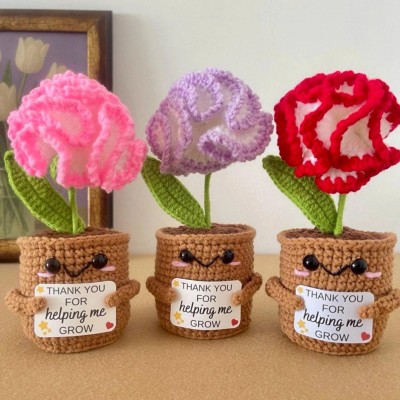 Graduation Gift Personalized Crochet Flower Plant Class of 2026 Gift Handmade Keepsake
