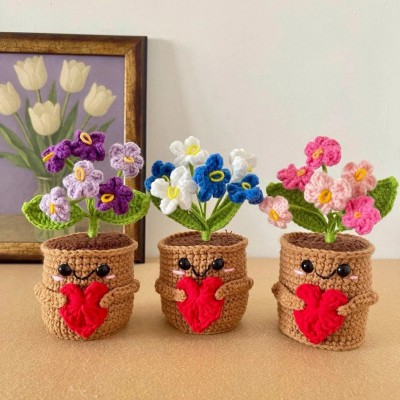 Graduation Gift Personalized Crochet Flower Plant Class of 2026 Gift Handmade Keepsake