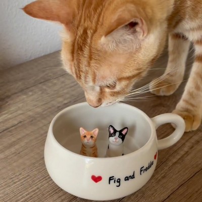 Custom Pet Figure Mug For Pet Lovers Christmas Gift