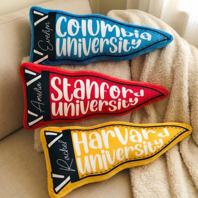 Personalized University Campus Pillow Custom College School Mascot Pillow Game Day Gift Ideas