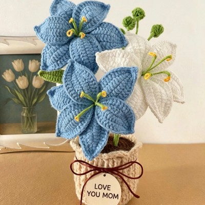 Mother’s Day Crochet Flower Bouquet Handmade Forever Flowers Gift for Mom Home Decor