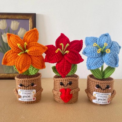 Graduation Gift Personalized Crochet Flower Plant Class of 2026 Gift Handmade Keepsake